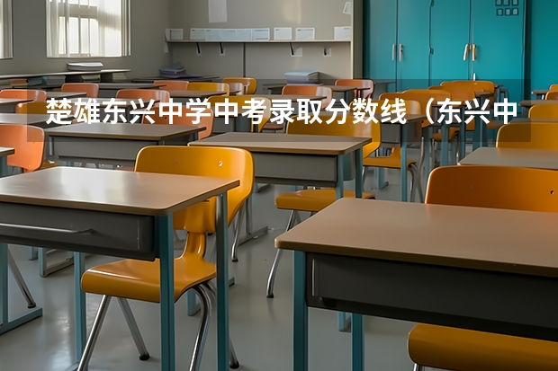 楚雄东兴中学中考录取分数线（东兴中学分数线）