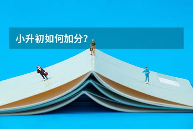 小升初如何加分？