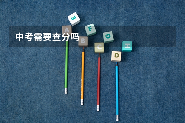 中考需要查分吗