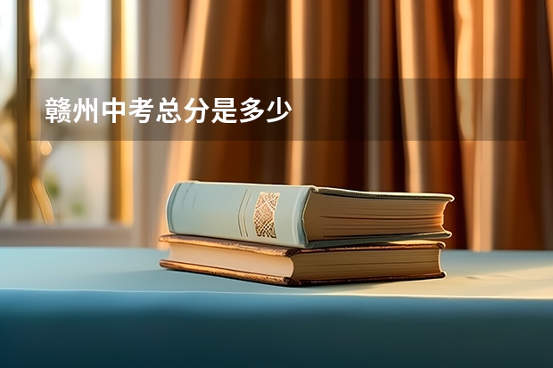 赣州中考总分是多少
