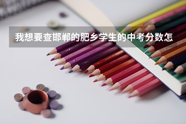 我想要查邯郸的肥乡学生的中考分数怎么查？