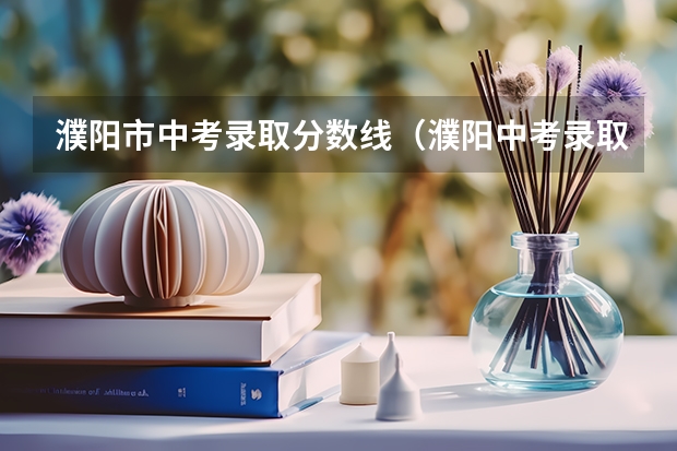 濮阳市中考录取分数线（濮阳中考录取分数线）