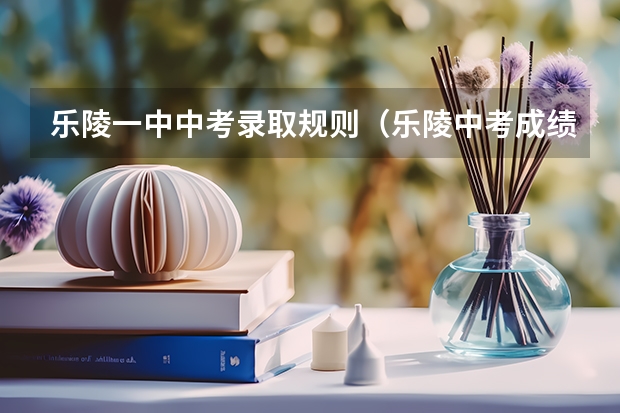 乐陵一中中考录取规则(乐陵中考成绩查询时间)