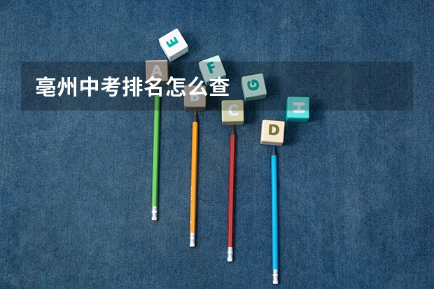 亳州中考排名怎么查