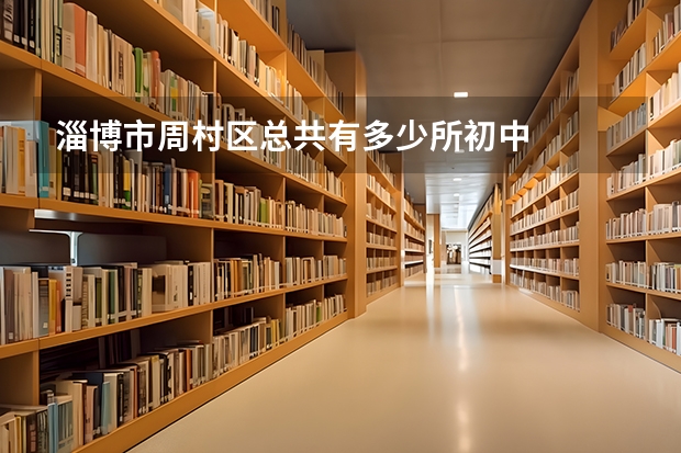 淄博市周村区总共有多少所初中
