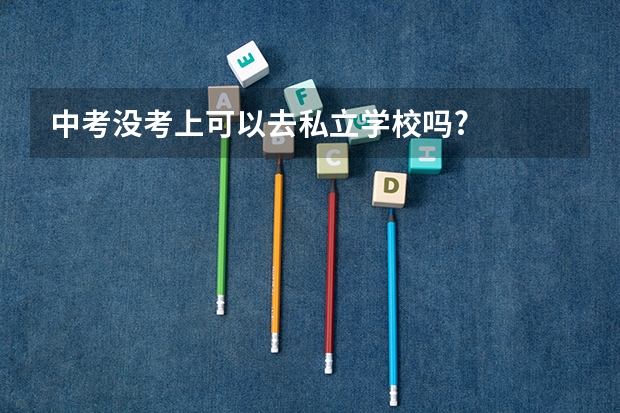 中考没考上可以去私立学校吗?