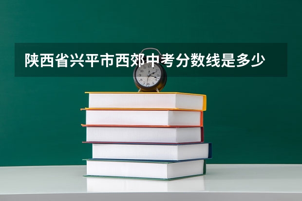 陕西省兴平市西郊中考分数线是多少