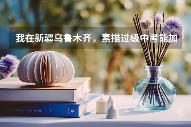 我在新疆乌鲁木齐，素描过级中考能加分吗？