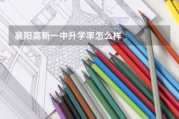 襄阳高新一中升学率怎么样