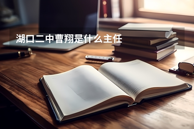 湖口二中曹翔是什么主任