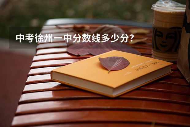 中考徐州一中分数线多少分？