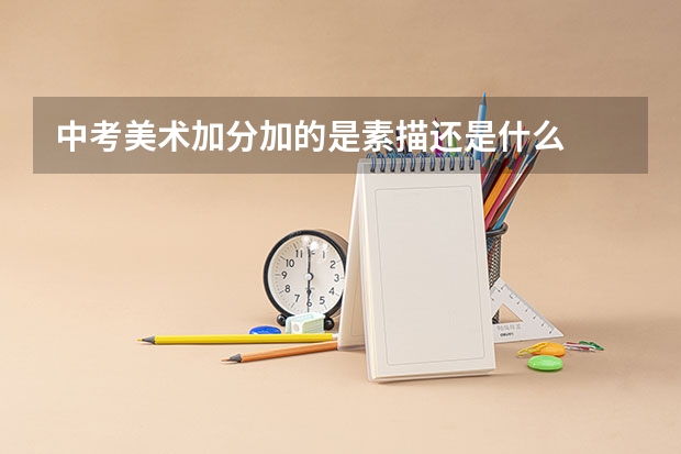 中考美术加分加的是素描还是什么