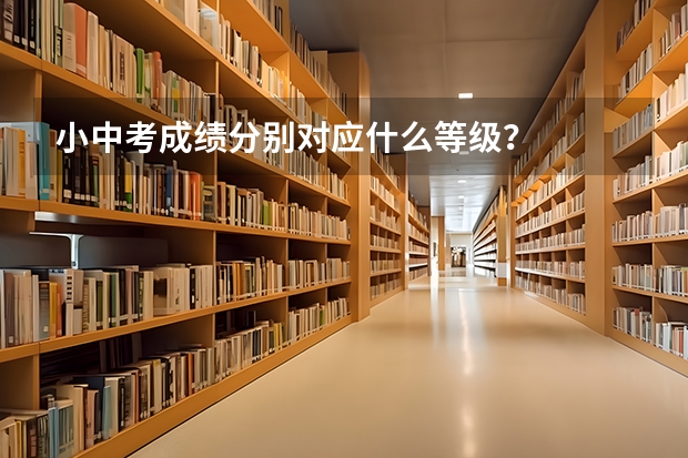 小中考成绩分别对应什么等级？