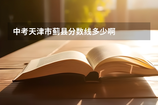 中考天津市蓟县分数线多少啊