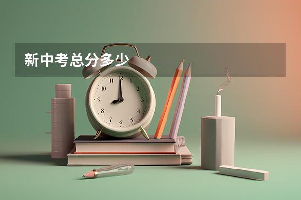 新中考总分多少