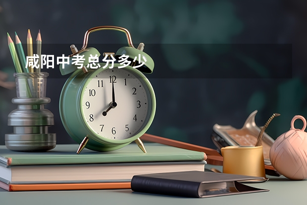 咸阳中考总分多少