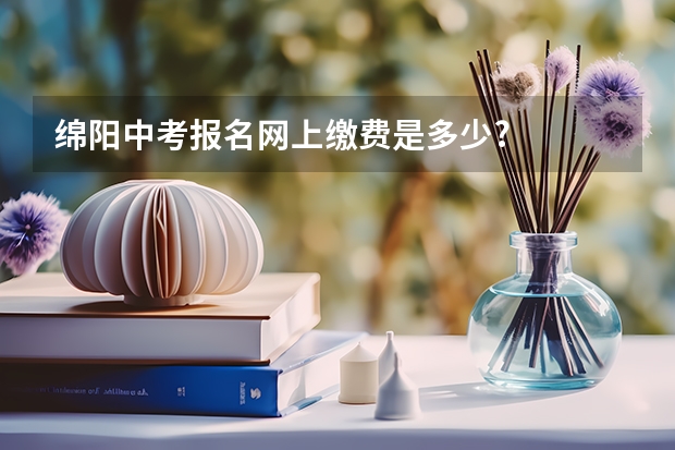 绵阳中考报名网上缴费是多少?