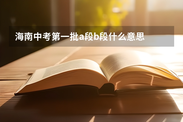 海南中考第一批a段b段什么意思