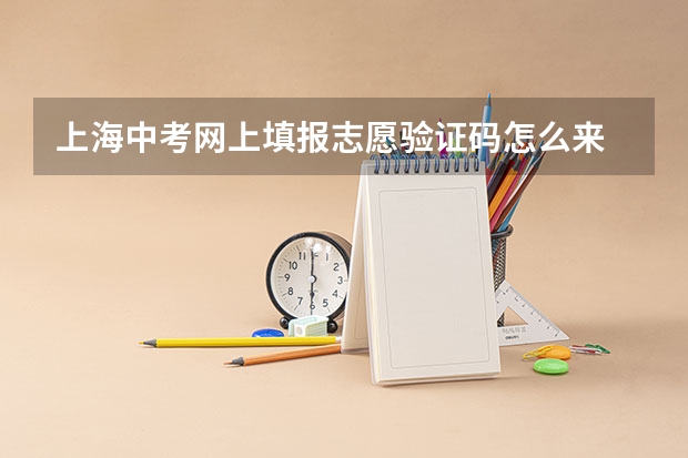 上海中考网上填报志愿验证码怎么来